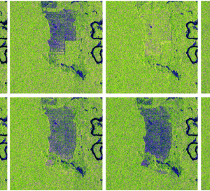 Article: Near-Real-Time monitoring of Tropical Forest degradation and deforestation