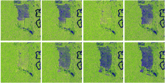 Article: Near-Real-Time monitoring of Tropical Forest degradation and deforestation