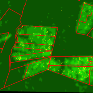 SarSentry: A breakthrough in forest monitoring. Latest results SarSentry forest monitoring system in Pará.