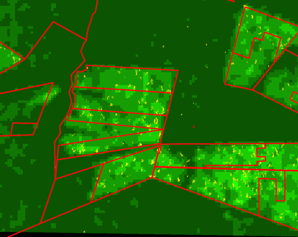 SarSentry: A breakthrough in forest monitoring. Latest results SarSentry forest monitoring system in Pará.