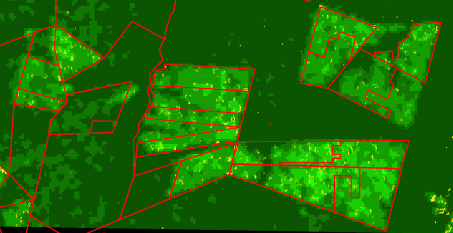 SarSentry: A breakthrough in forest monitoring. Latest results SarSentry forest monitoring system in Pará.