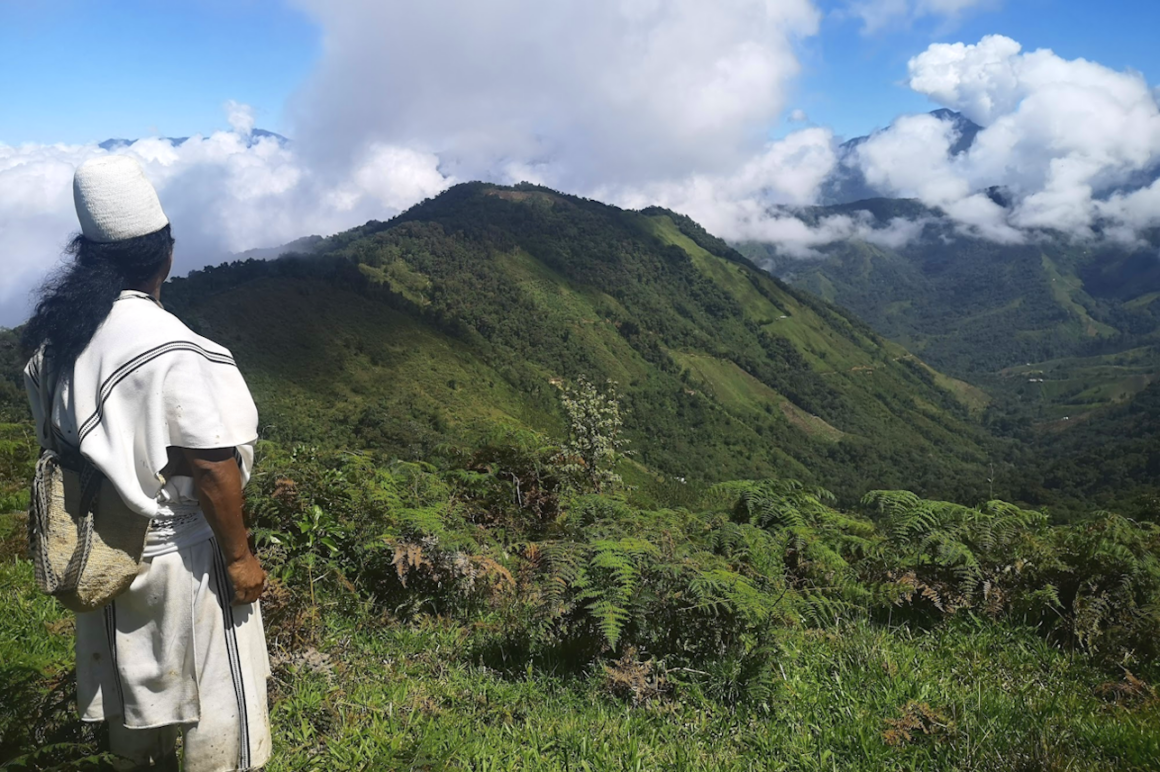 The Arhuaco Sacred Forests project