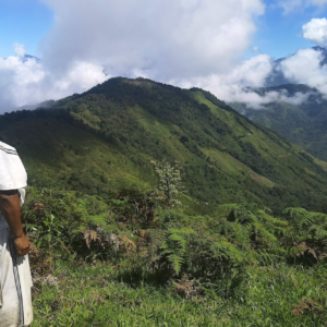 The Arhuaco Sacred Forests project