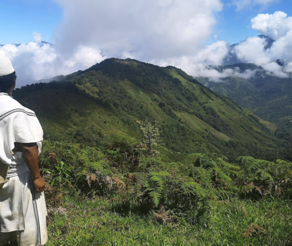 The Arhuaco Sacred Forests project