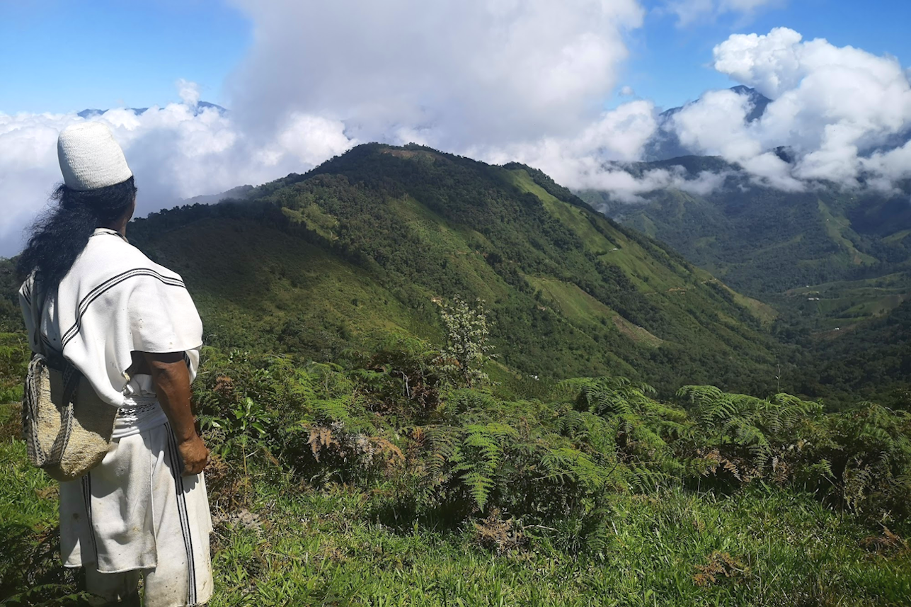 The Arhuaco Sacred Forests project